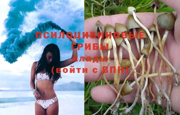 mdpv Володарск