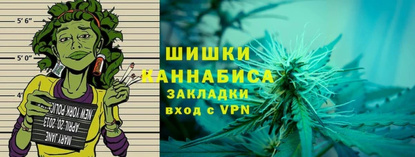 индика Верхний Тагил
